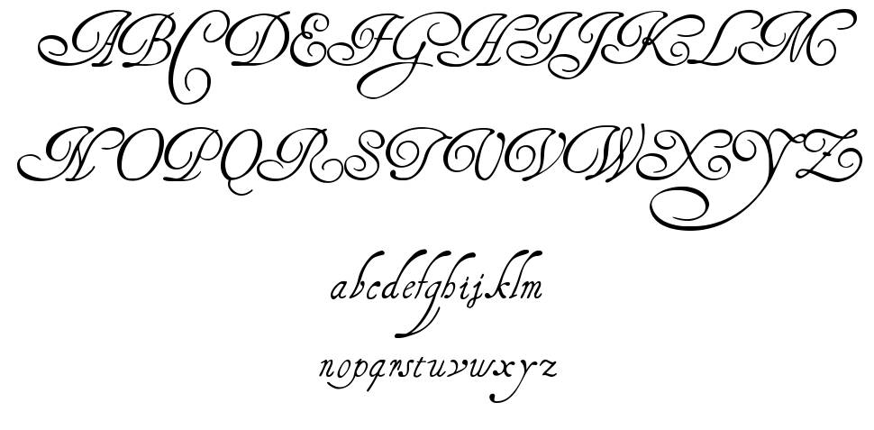 Henry Morgan Hand 字形 标本