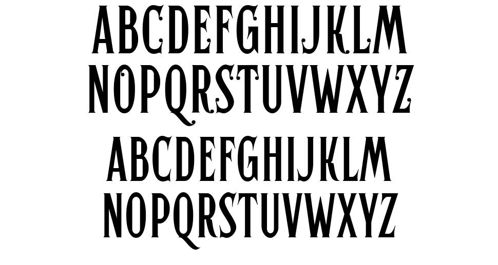Hertical Serif carattere I campioni