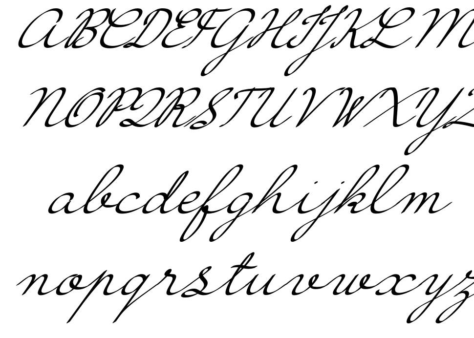 Hirondelle 字形 标本