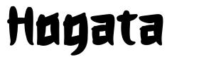 Hogata 字形