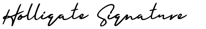 Holligate Signature font