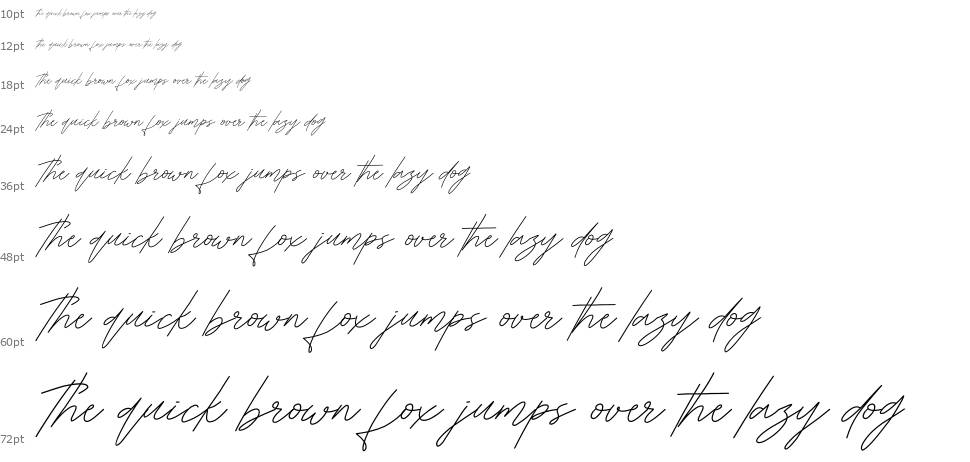 Holly Signature font Waterfall
