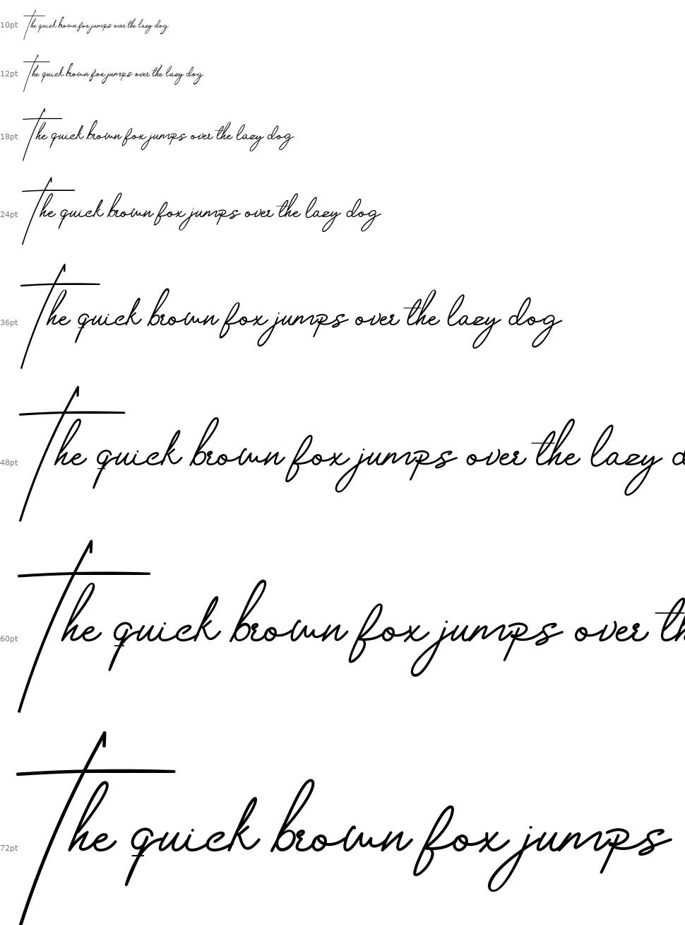 Housttely Signature font Şelale