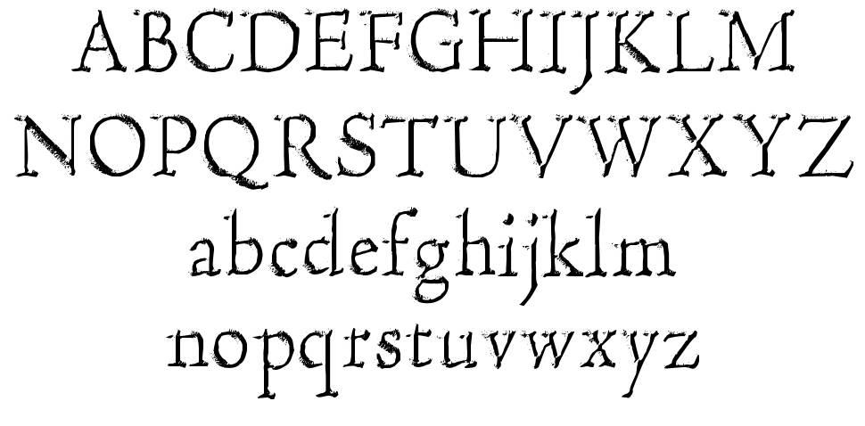 Hultog Engraved 字形 标本