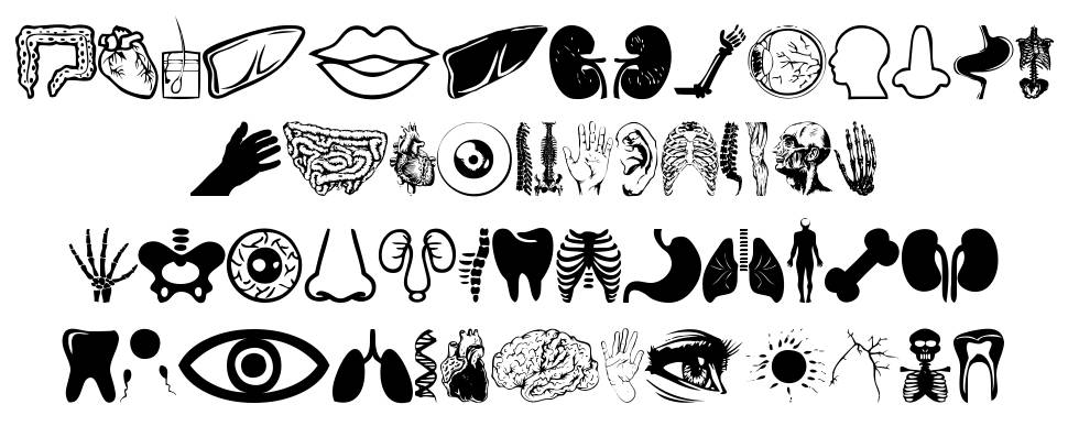 Human Anatomy font specimens