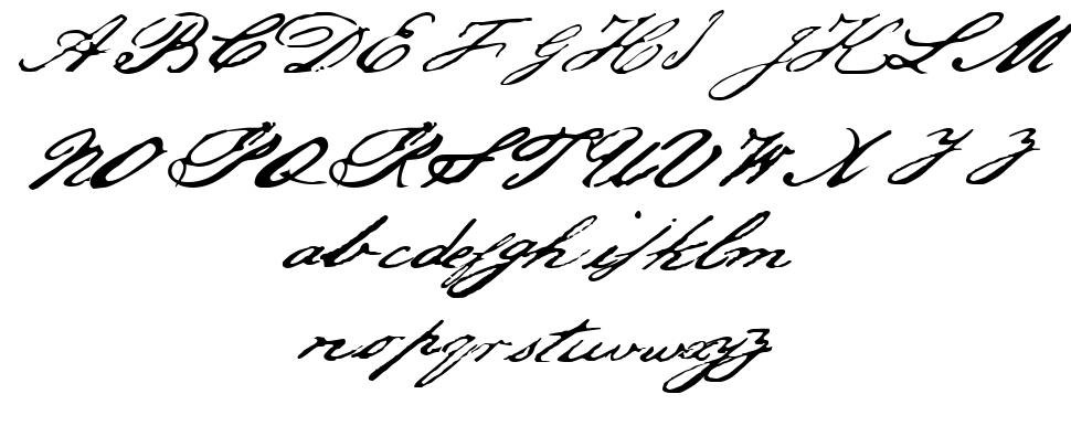Jefferson 字形 标本
