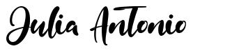 Julia Antonio шрифт