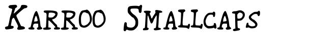 Karroo Smallcaps шрифт