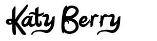 Katy Berry font