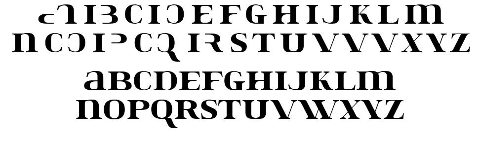Konstata 字形 标本