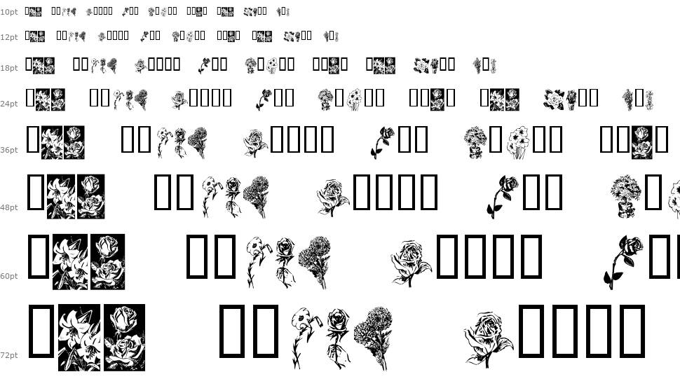 KR Beautiful Flowers 字形 Waterfall