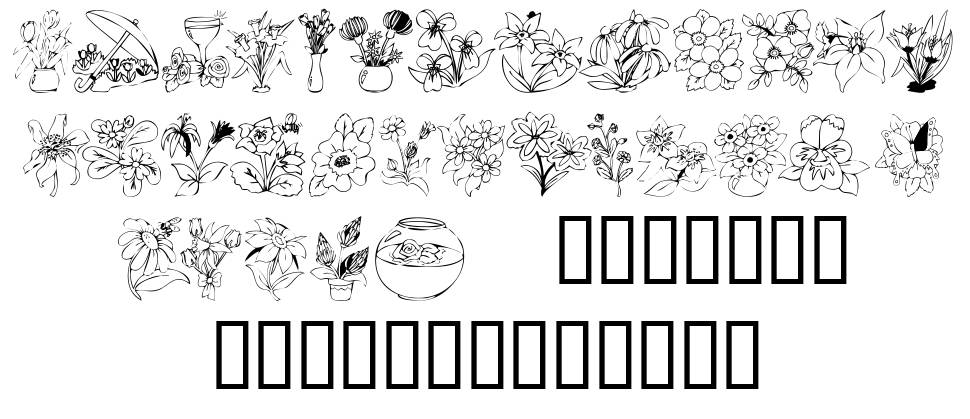 KR Bloom Bonanza 字形 标本