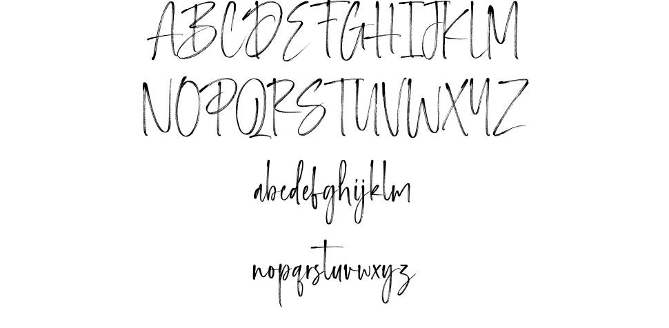 Ladysmith 字形 标本