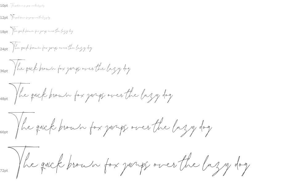 Leonetta Script font Şelale