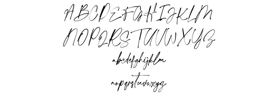 Ligatures Script font specimens