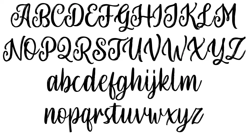 LS Olive 01 Scriptfont specimens