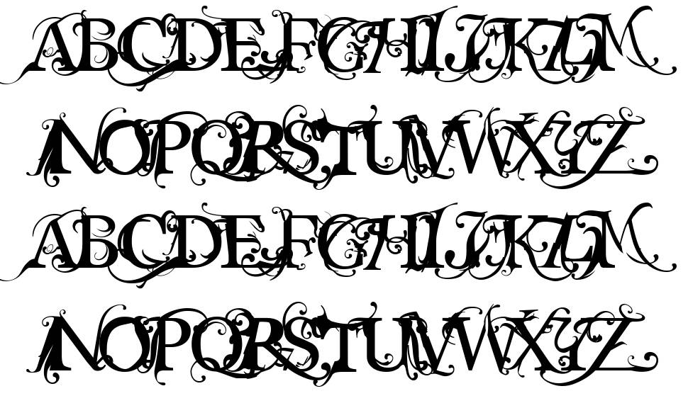 Macabra 字形 标本