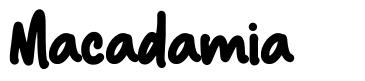 Macadamia шрифт