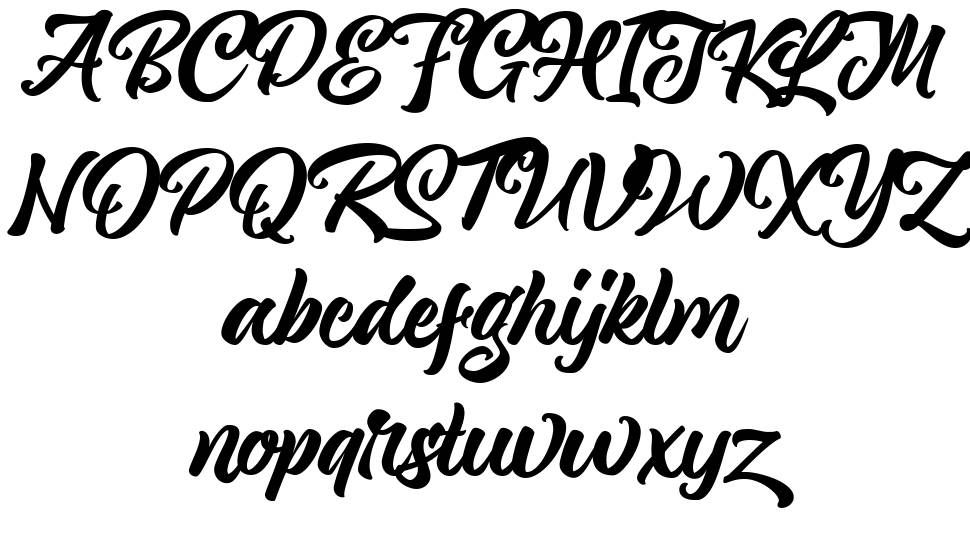 Magnison Script font specimens