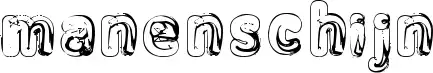 Manenschijn 02