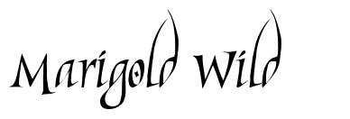 Marigold Wild font