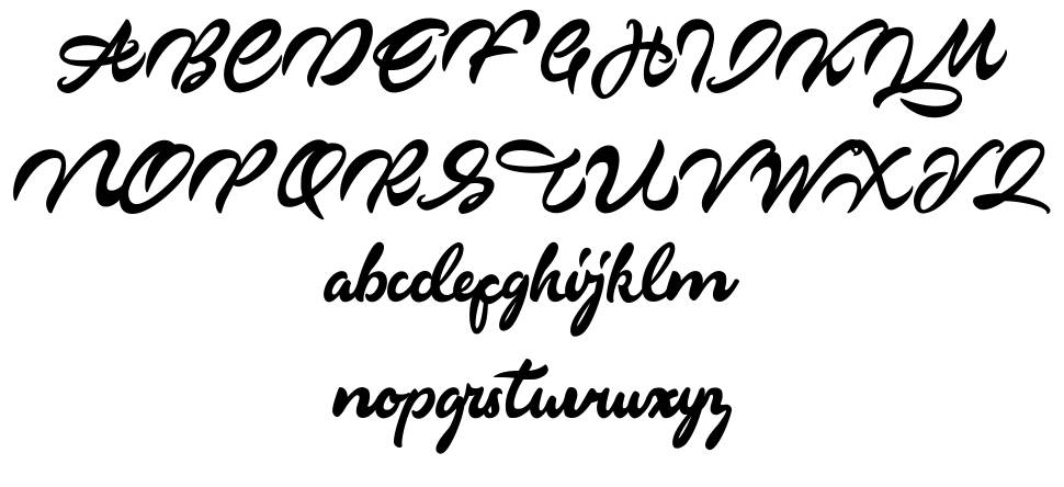Markinson 字形 标本
