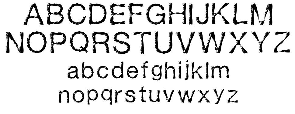 Mason 字形 标本