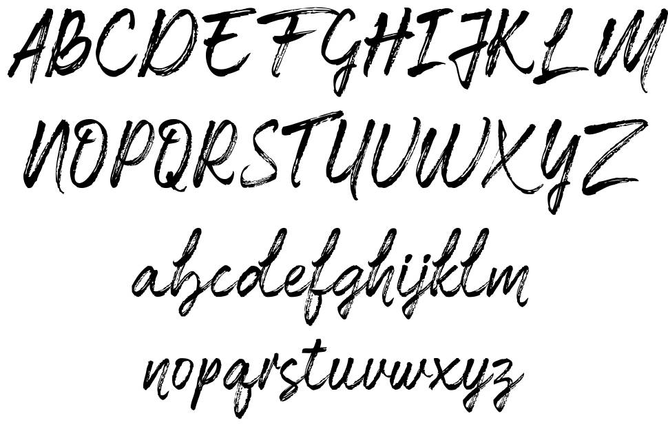 Matteona 字形 标本