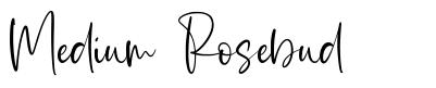 Medium Rosebud font
