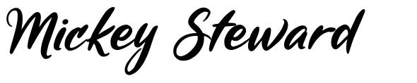 Mickey Steward шрифт