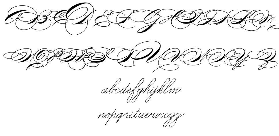 Mike Ferrari 16017 font specimens