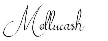 Mollucash шрифт