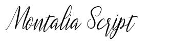 Montalia Script шрифт