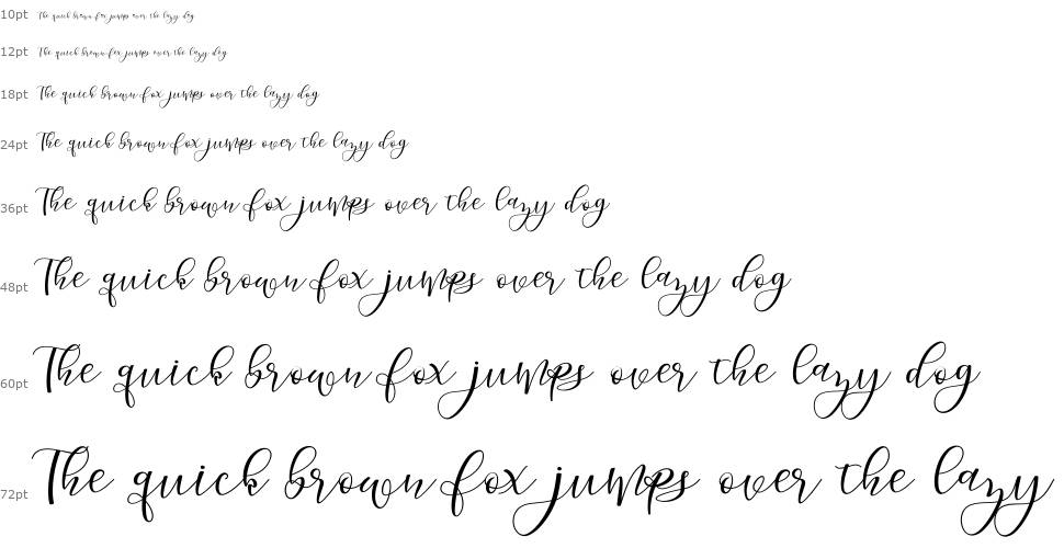 Morelight Script font Şelale