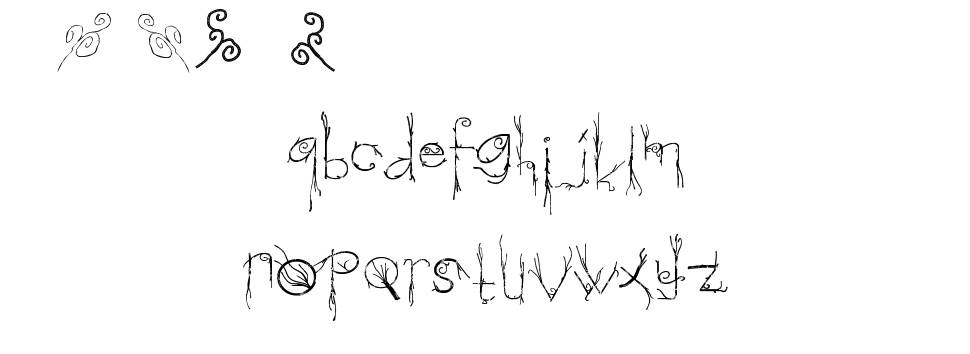 Morphina 字形 标本