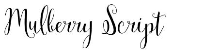 Mulberry Script шрифт