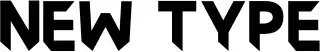 New Type