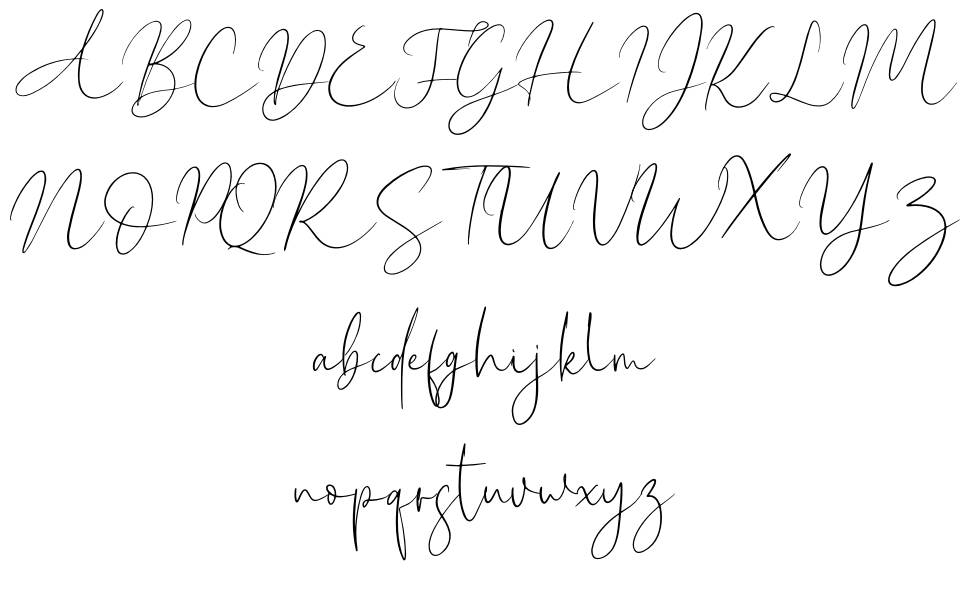 New York Signature font specimens