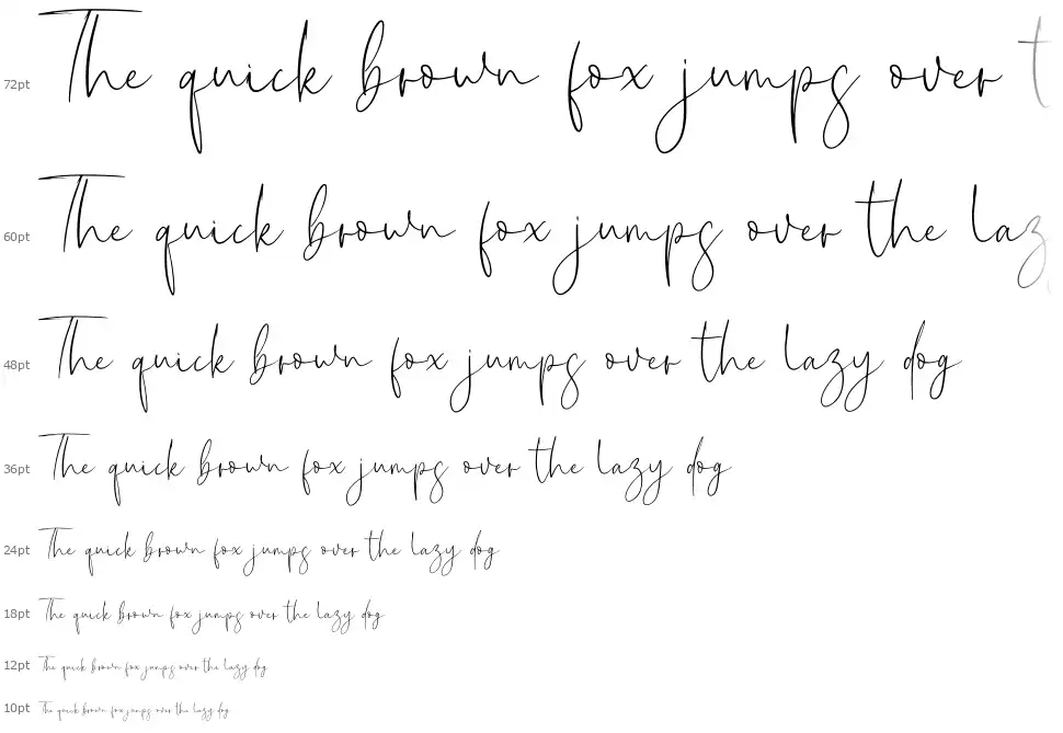 new york signature font