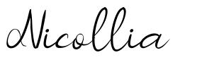 Nicollia шрифт