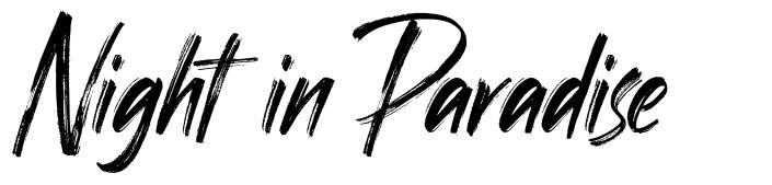 Night in Paradise font