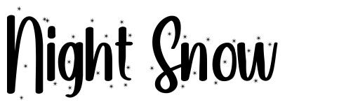 Night Snow font