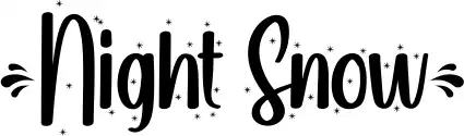 Night Snow