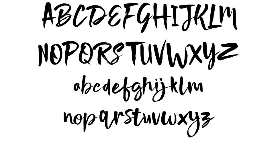 Nightype font specimens