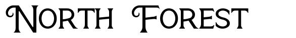 North Forest font