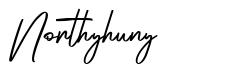 Northyhuny шрифт
