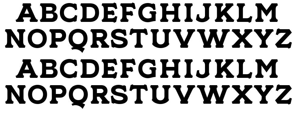 NS Champtone Serif písmo Exempláře