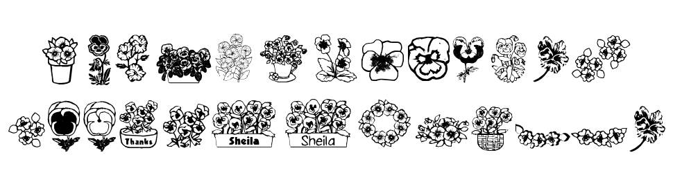 Pansies 4 Sheila font Örnekler