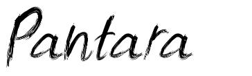 Pantara шрифт
