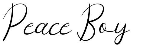 Peace Boy font